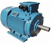 Общепромышленный асинхронный электродвигатель 5A250S8