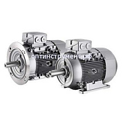 4044307503 Электродвигатель 1LG4280-4AА66-Z фланец